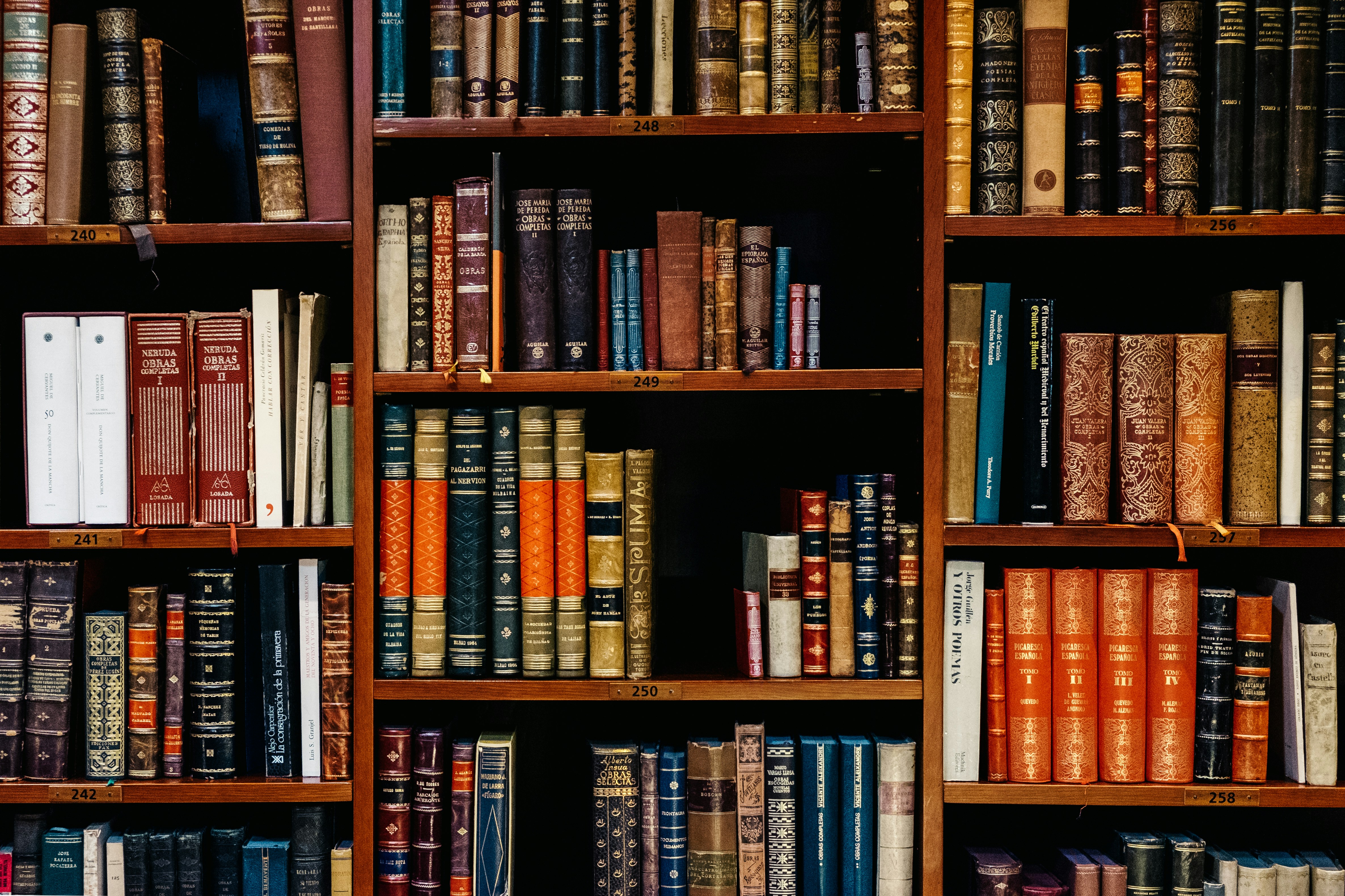 Intellectual Property Rights